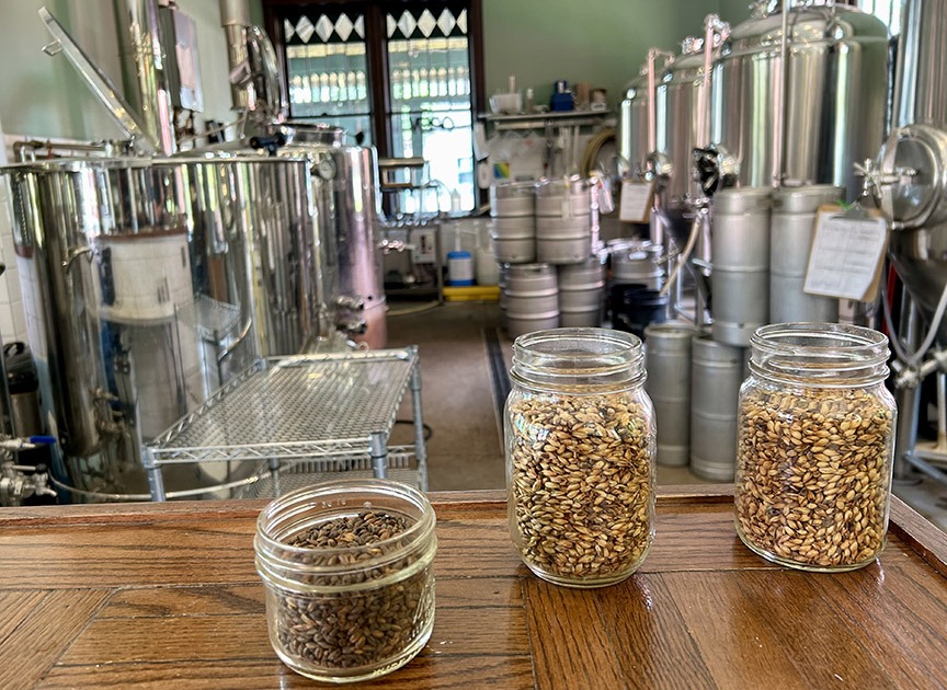 Jars of malts in a brewery.