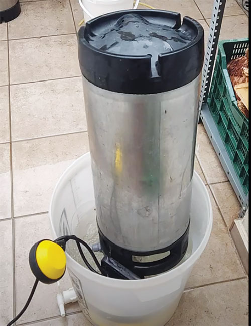 Corny keg on the keg washer which is in a plastic bucket with cleaning solution