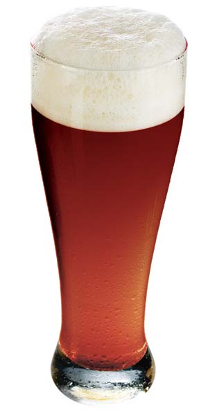 a weizenbock beer in a weizen glass, on the darker end of the style's spectrum