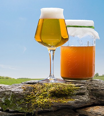 teku glass with beer and mason jar with a wild yeast starter sitting on a rock wall.