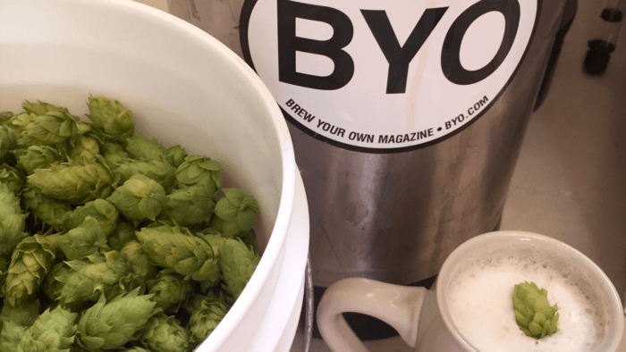 Bucket of hops next to a BYO logo and mug of beer.