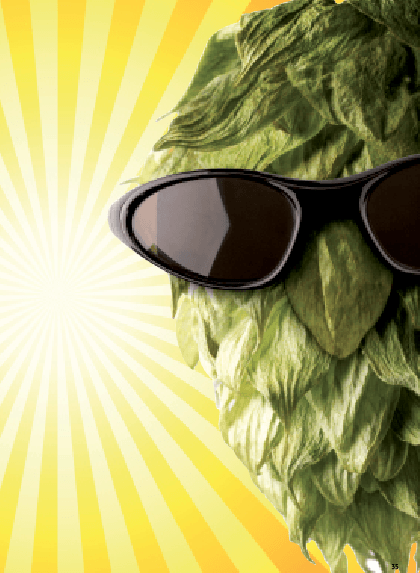 hop guy/hop cone with sunglasses on and sun in the background