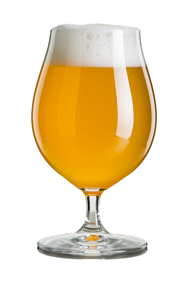Tulip snifter of IPA beer.